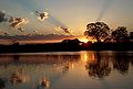 Pantanal 1.jpg