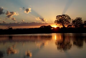 Pantanal 1.jpg