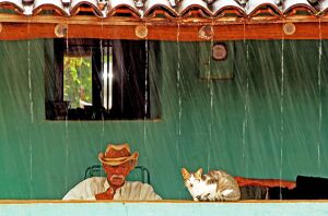 Chuva no sertão do Piauí.jpg