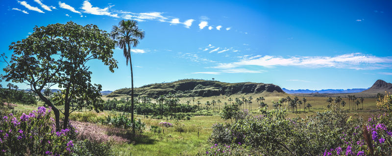 Arquivo:DSC 5042-Pano.jpg