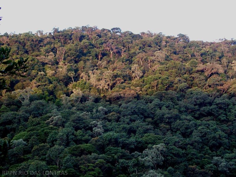 Arquivo:Panorâmica.jpg