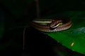 DSC2897.jpg