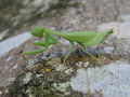 DSC00037.JPG