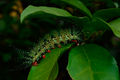 DSC0176.jpg