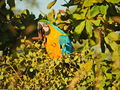 DSCN0863.JPG