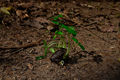 DSC3044.jpg