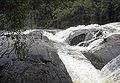 Serra do mar sta virginia 1.jpg