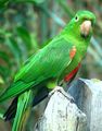 DSC08677.JPG