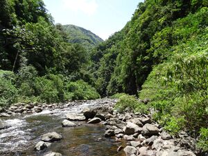 DSC05690.jpg