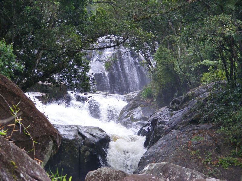 Arquivo:Dscf0899.jpg