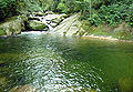 Serra do mar sao sebastiao 5.jpg