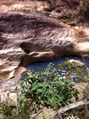 20171062757360.jpeg