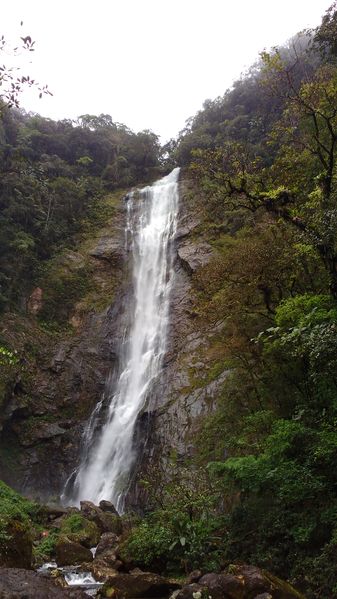 Arquivo:IMG 20151014 091249621.jpg