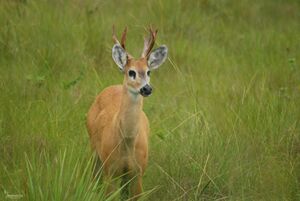 12012009-DSC 0301.jpg