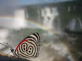 P1070425.JPG