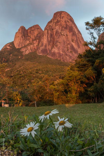 Arquivo:23052016 - 062700.jpg