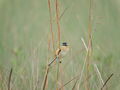 DSCN8290.JPG