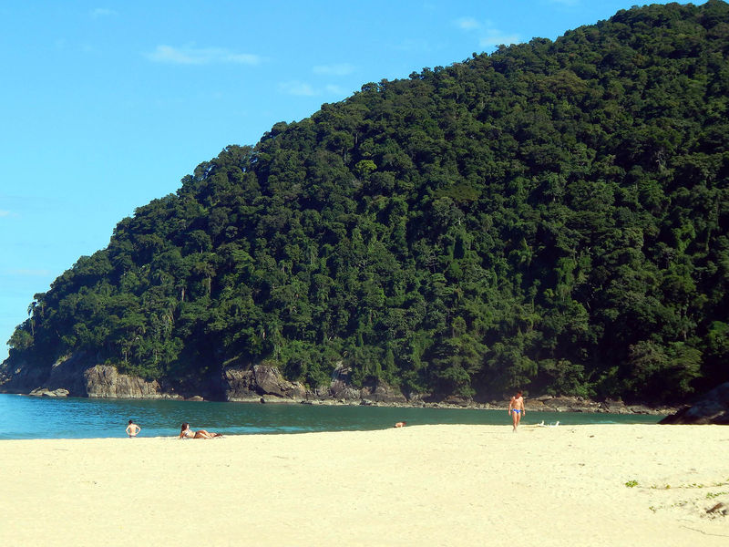 Arquivo:Praia Brava.jpeg