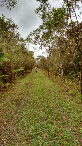 Arquivo:IMG 20151014 112400126 HDR.jpg