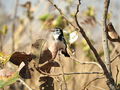 DSCN2801.JPG