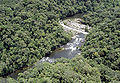Serra do mar sta virginia 4.jpg