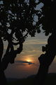 DSC3555.JPG