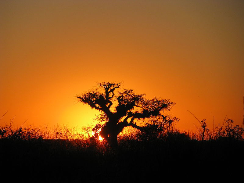 Arquivo:Pôr do sol.jpeg
