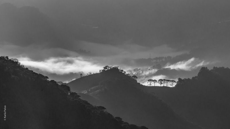 Arquivo:22052016 - 064655.jpg