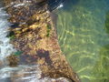 DSC03762.JPG