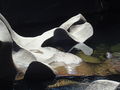 DSC03680.JPG