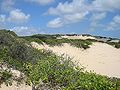 1280px-Dunas-natal.jpg