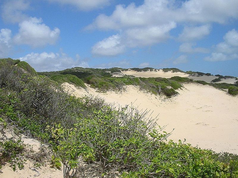 Arquivo:1280px-Dunas-natal.jpg