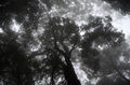 DSC1157.jpg