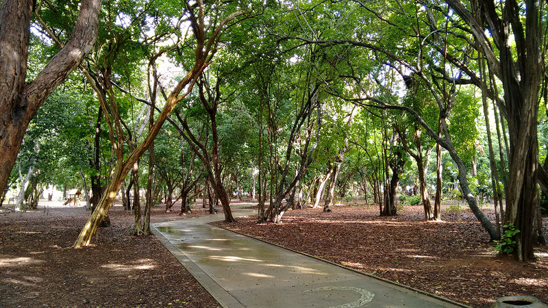 Arquivo:20150528 072319163.jpg