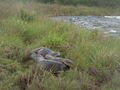 DSC04558.JPG