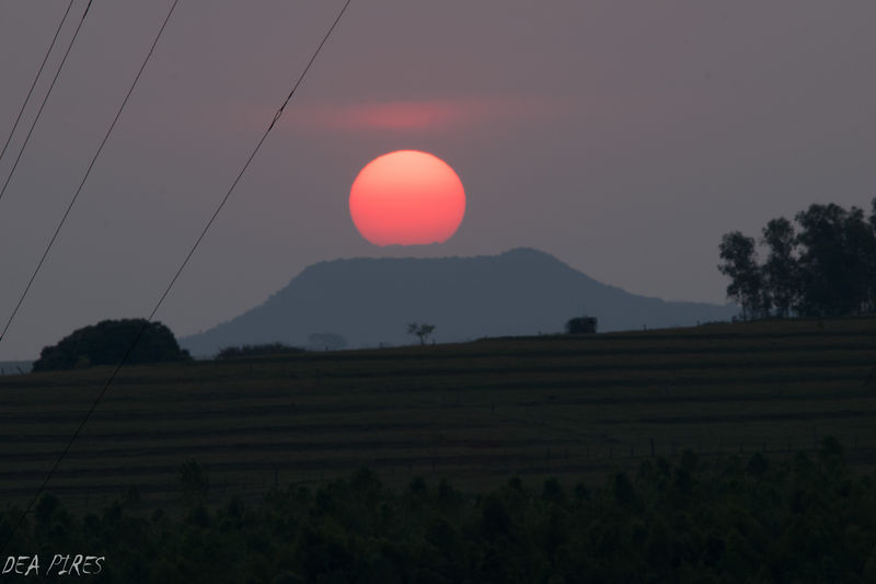 Arquivo:Sol esplendido-8.jpg