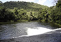 Serra do mar sta virginia 5.jpg