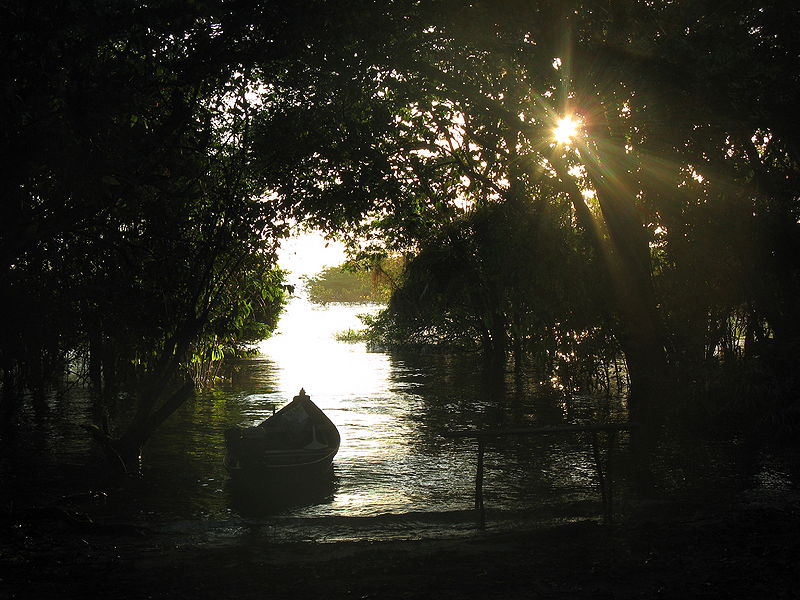 Arquivo:Rio Tapajos PA julho 2013 037.JPG