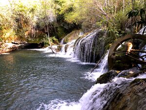 DSCN0157.jpg
