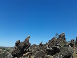 20140914 115330.jpg