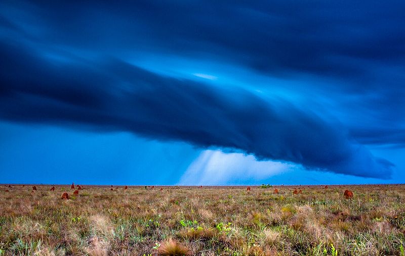 Arquivo:Chuva parna emas.jpg