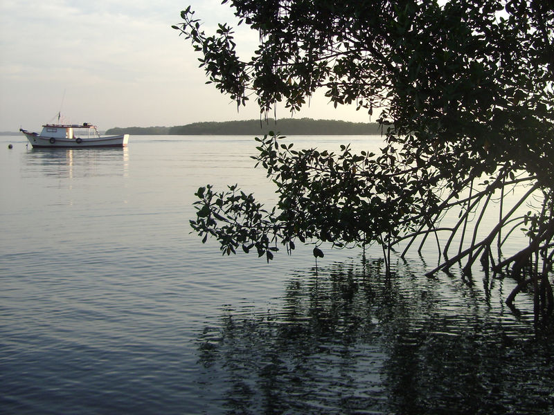 Arquivo:DSC088791.jpg