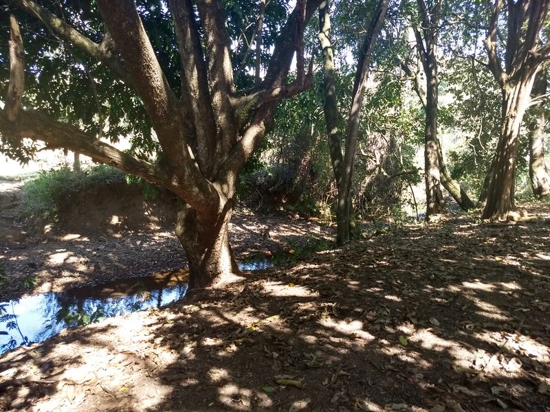 Arquivo:2018721649714.jpg