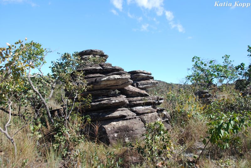 Arquivo:DSC 0115.jpg