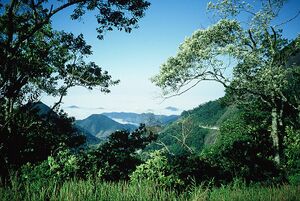 Serra da Bocaina.JPG