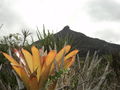 DSC02543.JPG