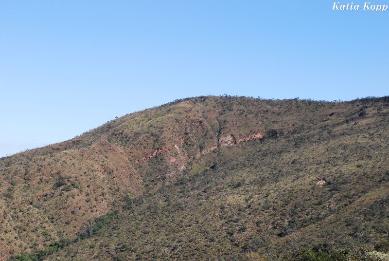 Arquivo:DSC 0058.jpg