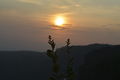 DSC3541.JPG