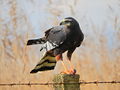 DSCN0405.JPG