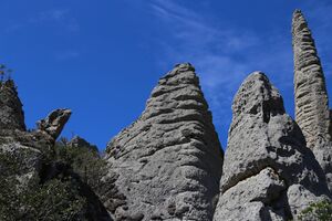 IMG 4486.jpg